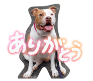 855671552