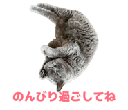 855671560