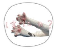 855671601