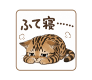 855671663
