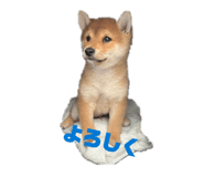 855672274