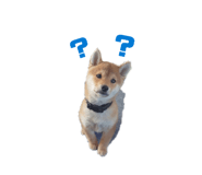 855672276