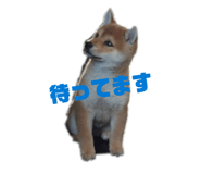 855672278
