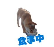 855672280