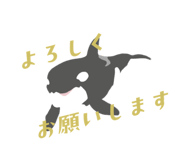 855672355