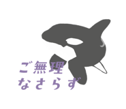 855672362