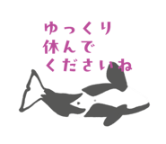 855672363