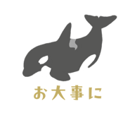 855672364