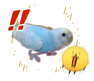 855672514