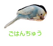 855672523