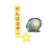 855672527