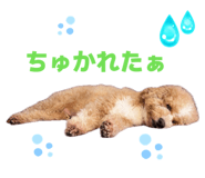 855672578