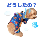 855672580