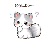 855672753