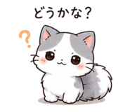 855672767