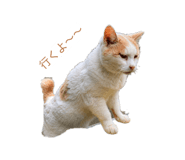 855672889