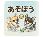 855673206