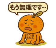 855673325