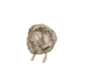 855673531