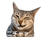 855673561