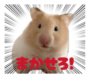 855673728