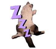 855673754