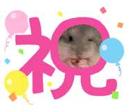 855673823
