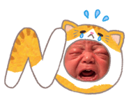 855673906