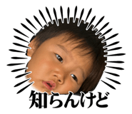 855673953