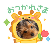 855673978
