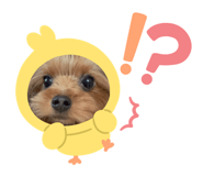 855673987