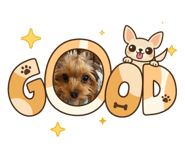 855674012