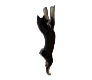 855674035
