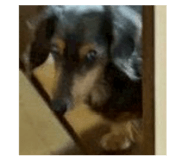 855674043