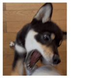 855674044
