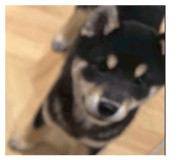 855674053