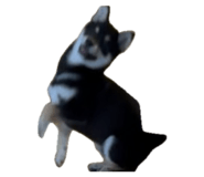 855674064
