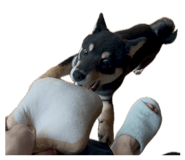 855674068