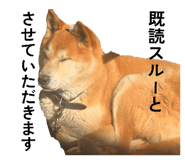 855674089