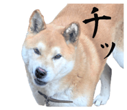 855674090