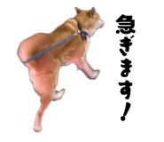 855674099