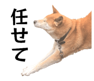 855674109