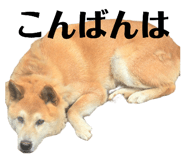 855674112