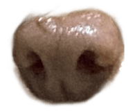 855674128