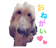 855674192