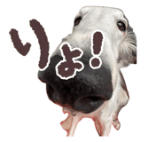855674202