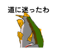 855674348