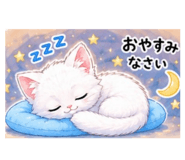 855674408