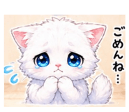 855674411