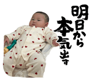 855674446